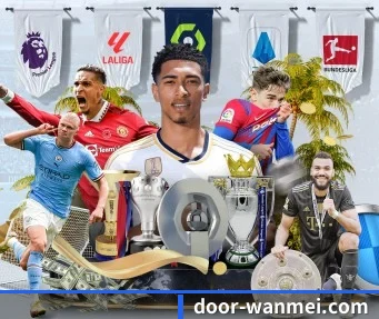 完美体育 APP 界面 | WANMEISPORTS