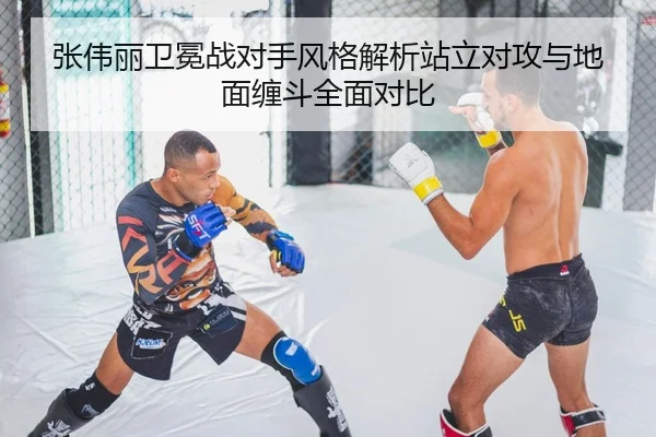 张伟丽卫冕战对手风格解析站立对攻与地面缠斗全面对比